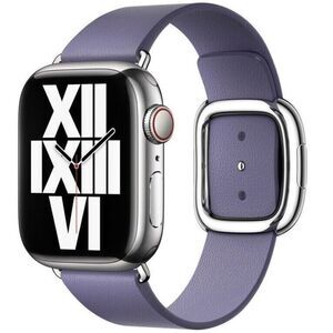 Genuine Apple Modern Buckle Apple Watch Leather Band